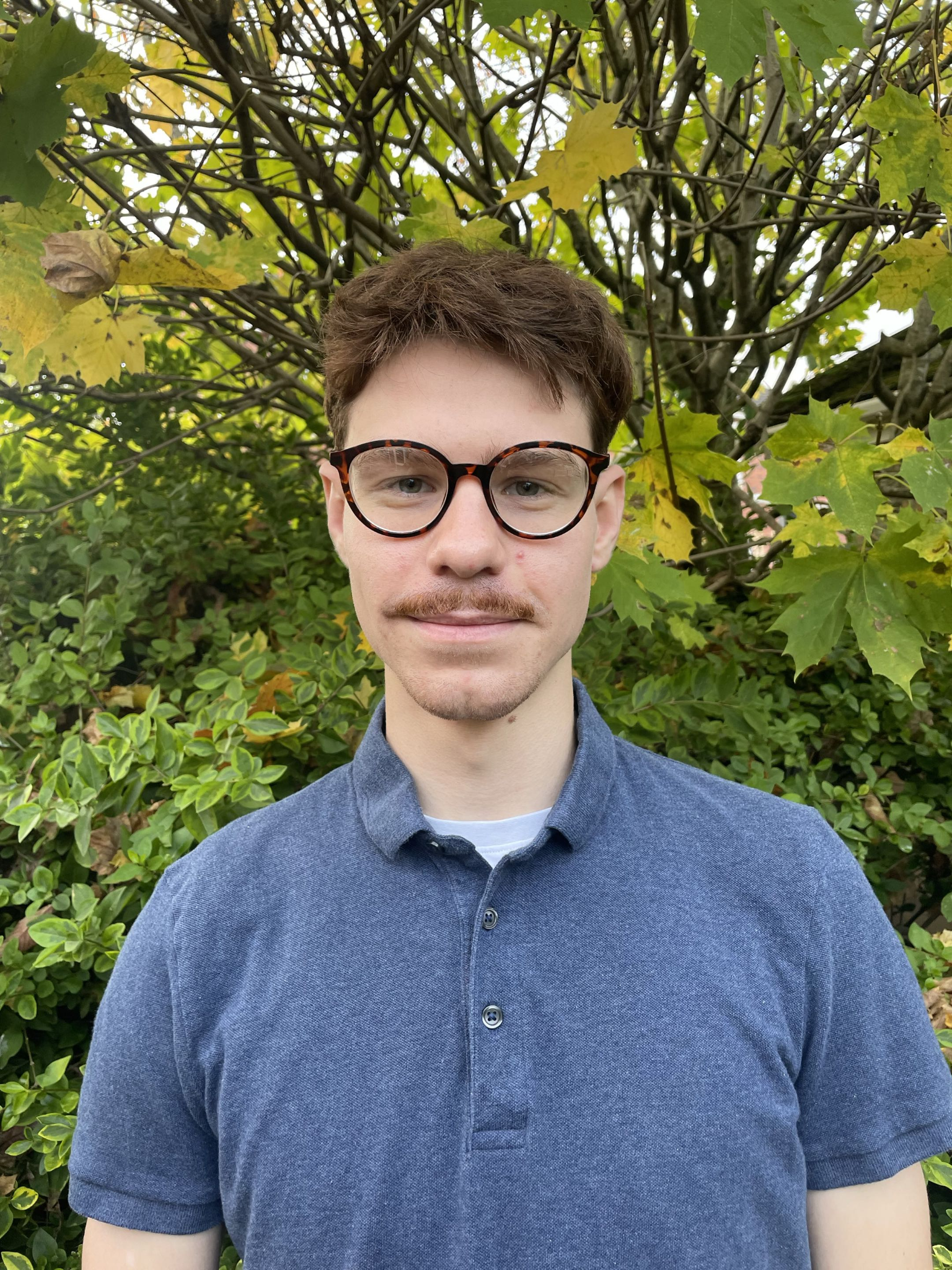 Geni Baer, MDB tutor